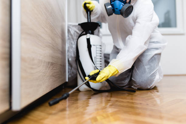 Pest Control for Restaurants in Lititz, PA